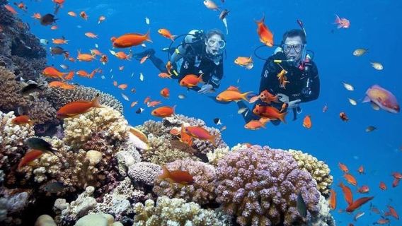 Dari Hue: Perjalanan Perahu Pulau Cham Sehari Penuh