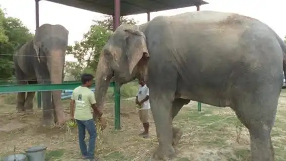 デリー発：タージ・マハル、ファテープル・シークリー、野生動物巡り2日間ツアー