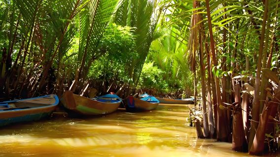 Đồng bằng Sông Cửu Long Việt Nam + du thuyền rừng dừa|Trà mật ong + Bữa trưa Việt Nam + Tour nhóm VIP