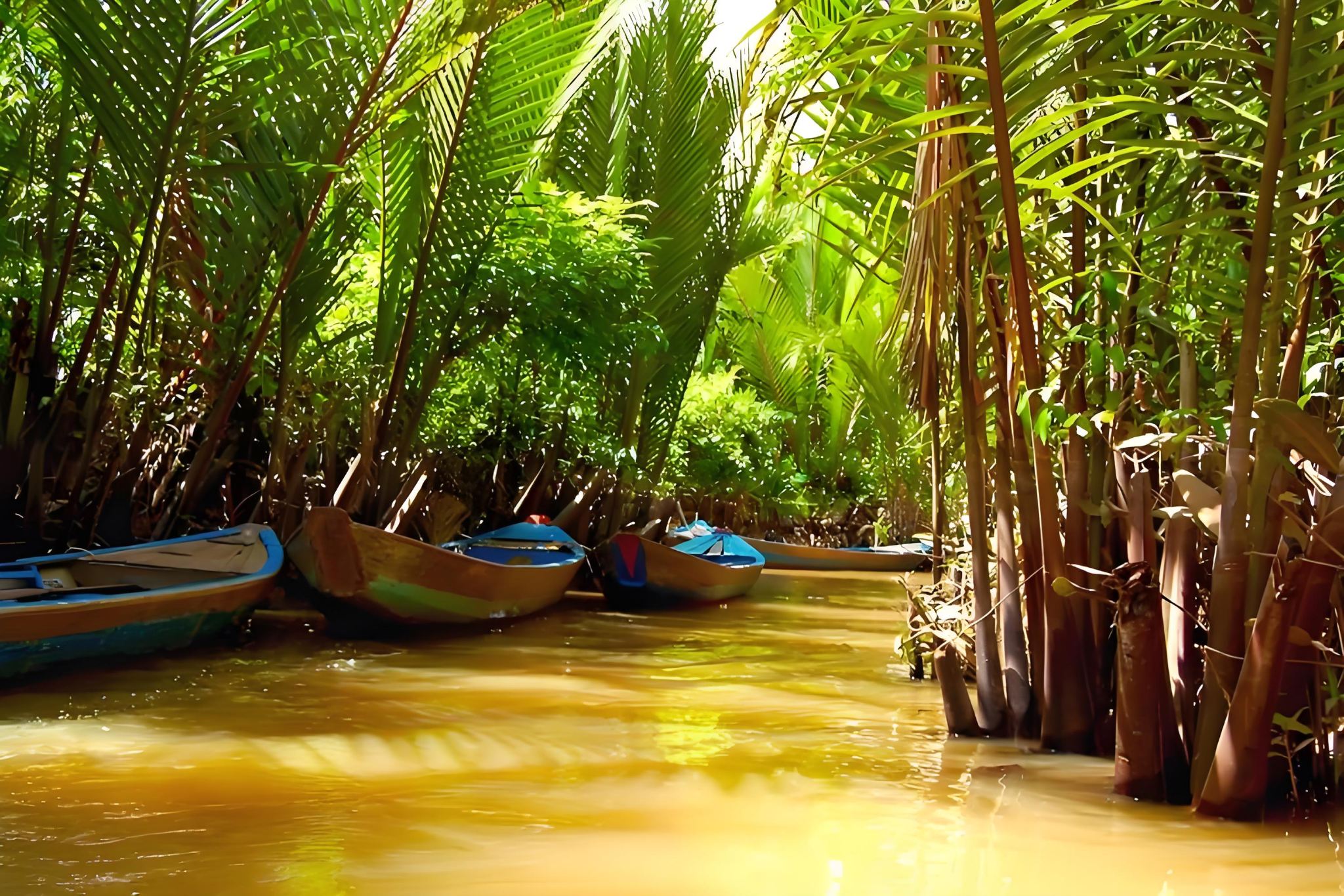 Vietnam Mekong River Delta + coconut jungle cruise|Honey tea + Vietnamese lunch + VIP small group