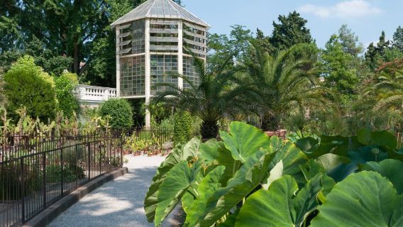 義大利帕多瓦斯克羅威+帕多瓦大學-中文地陪8小時