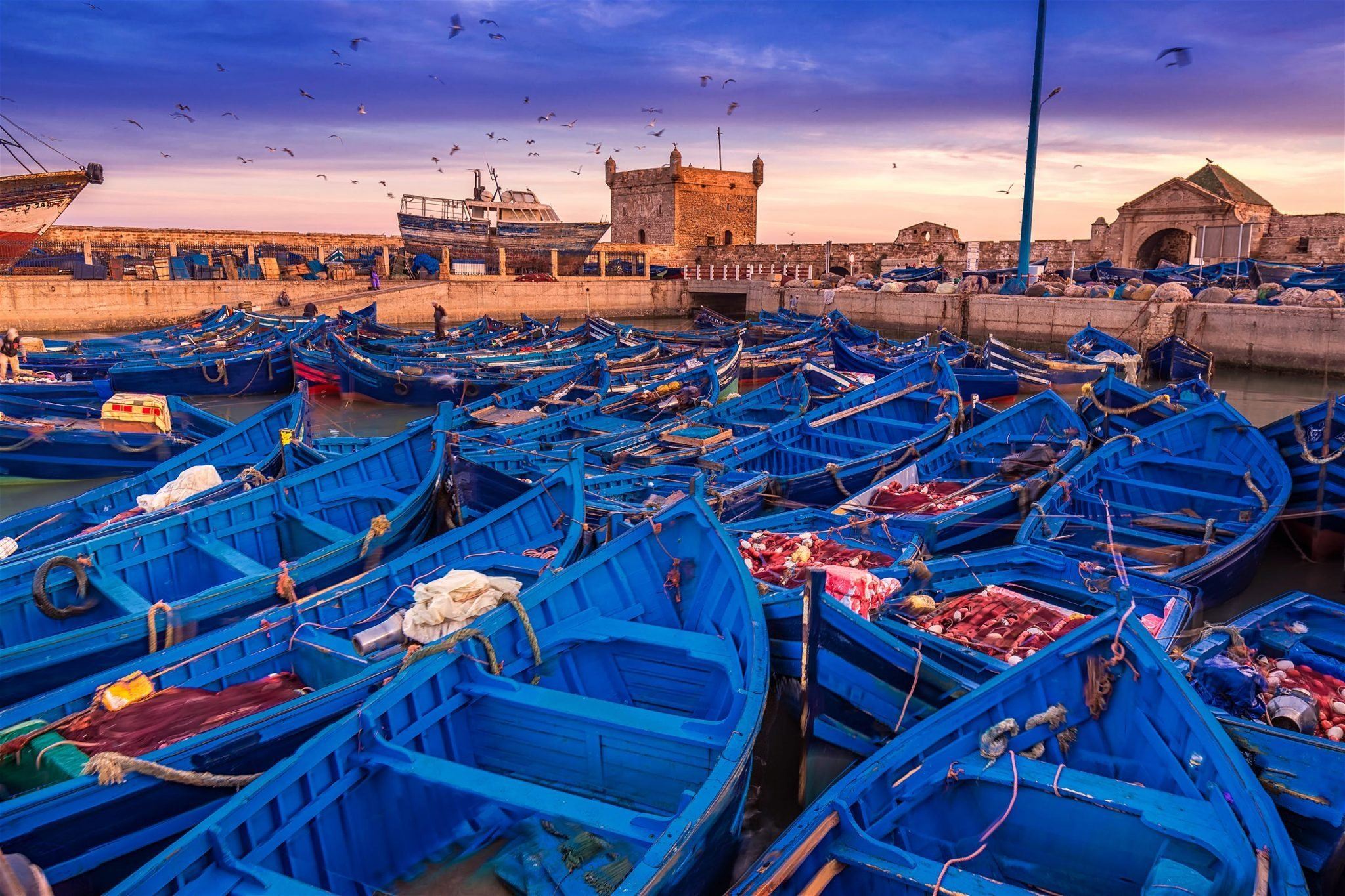 tour di un giorno a Essaouira con partenza da due località | Esplora l'antica città + capre sugli alberi + vista sull'Oceano Atlantico
