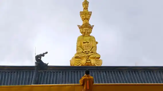 Leshan Giant Buddha + Mount Emei 1-day tour [Admission ticket guaranteed + Optional fast-track access · Small group of 8]