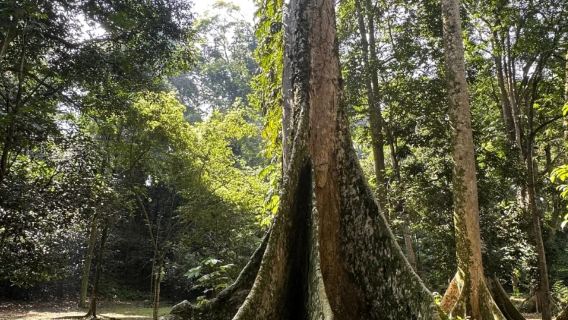 Tur pribadi ke Bogor dari Jakarta