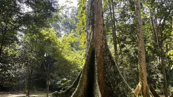 Tur pribadi ke Bogor dari Jakarta