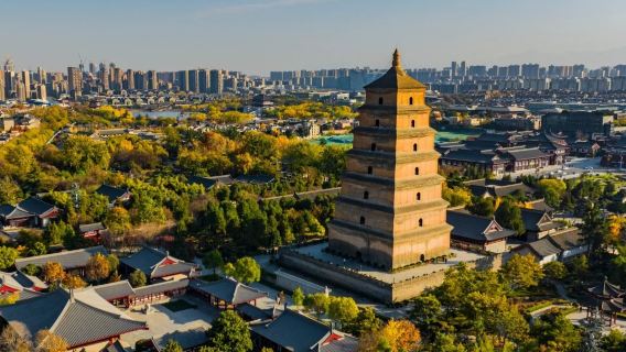 [Thiểm Tây] Vé vào cổng + thuyết minh tại Đại Nhạn Tháp Tây An (Ký ức thịnh Đường + thuyết minh chuyên nghiệp + trải nghiệm đắm chìm phong vị Đường cổ + kết nối mạch khảo cổ)