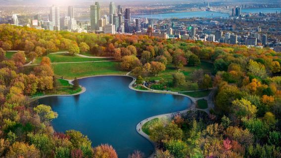 Excursión de un día en grupo reducido por Montreal, Canadá: tour panorámico en profundidad (en inglés)