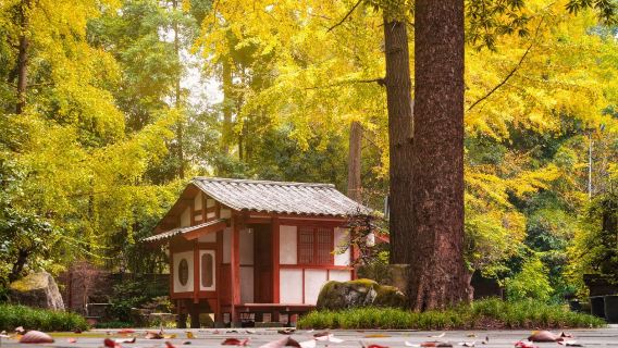 Чэнду: Дом-музей Ду Фу, Храм Ухоу, Район Вэньшу и Большие панды|Китайский, английский и другие языки — индивидуальный трансфер/аренда автомобиля с водителем на заказ#