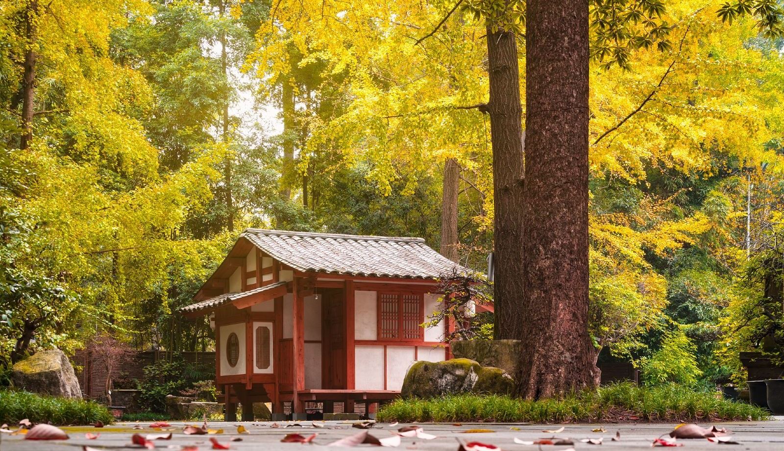 Chengdu: Du Fu Cottage + Wuhou-Schrein + Wenshu-Kloster + Große Pandas|Mehrsprachig (Chinesisch, Englisch) – maßgeschneiderter Privattransfer