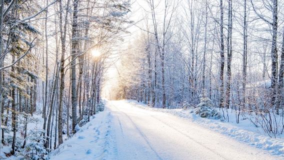 挪威斯沃爾維爾來回羅弗敦羣島｜北歐明星路線【包車/跟團可選】