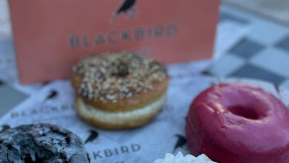 Boston: Harvard Square Guided Donut Tour