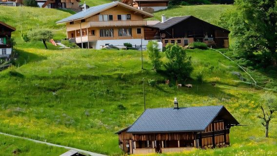 瑞士蘇黎世－伯爾尼老城－伯爾尼熊公園一日包車遊【支持行程定制】