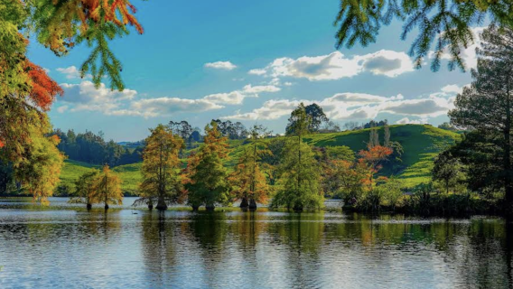 紐西蘭奧克蘭+霍比特村&藍泉一日遊【中文專車-愜意舒適】