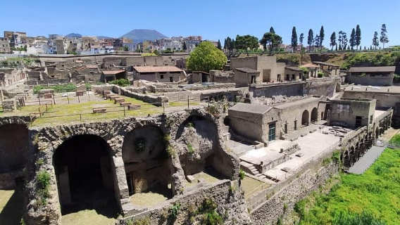 1-day private charter tour to Archaeological Park of Herculaneum, Chiesa di San Domenico Maggiore, and Royal Palace of Naples