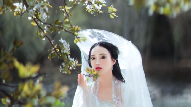 高邑Tripメモリー【劉秀公園/鳳北公園/多言語翻訳/フォトグラファー同行・ドローン撮影・同伴撮影・予約撮影・カスタマイズ】