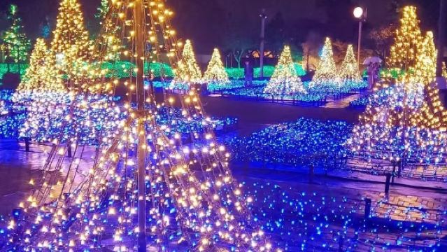 名古屋名花之鄉燈海+爵士之夢奧萊+奧萊溫泉一日遊【中文導遊】