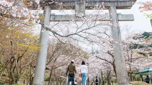 日本福岡美食一日遊 (含唐戶市場+魚町銀天街+小倉城+旦過市場+太宰府天滿宮)