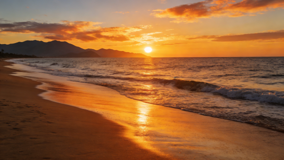 土耳其伊斯坦堡一日遊包車|加拉達大橋-石塔-獨立大街