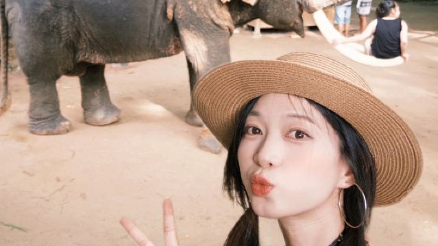 [Viaggio Tailandese a Pattaya] Tempio + Spettacolo di Elefanti + Sparatoria con Munizioni Vere + Mercato Galleggiante + Spettacolo di Ladyboy