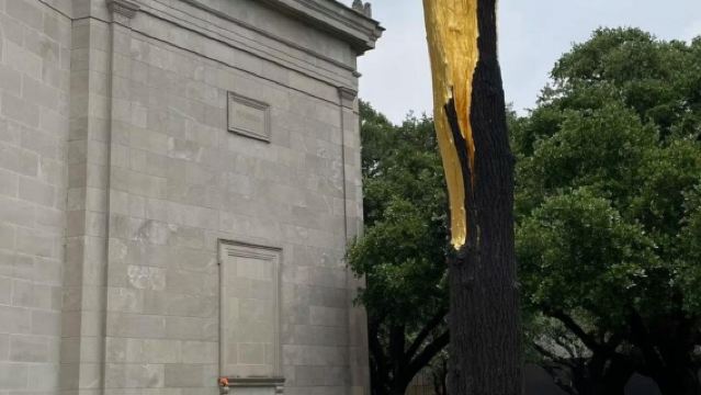 美國休斯頓自然科學博物館+赫曼公園一日遊/行程可調-隨性而行