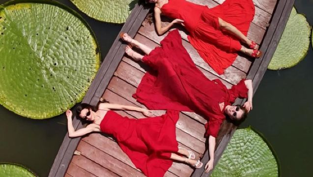 ThailandPhuketTravel photography[Giant Water Lily Pond+Drone Video+Old Town]