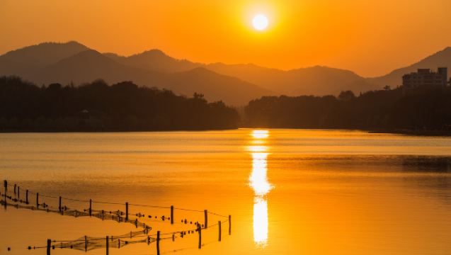 Explora Hangzhou como un local: excursión privada de día completo por la ciudad