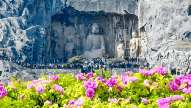 Luoyang Peony Festival Flower Viewing! Private Day Tour to Longmen Grottoes + White Horse Temple + Shenzhou Peony Garden