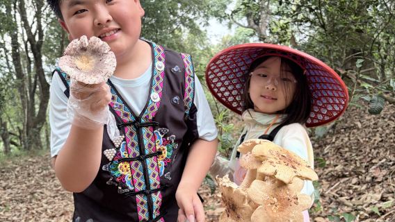 Xishuangbanna Gunung Nannuo Lawatan Sehari Hiburan Tulen (Menuai Cendawan + Memetik dan Membuat Teh + Makanan Api Hani)