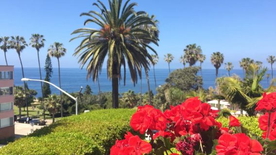 Los Angeles pergi-balik: Teluk La Jolla + Taman Semula Jadi Sunset Cliffs San Diego lawatan sewa peribadi