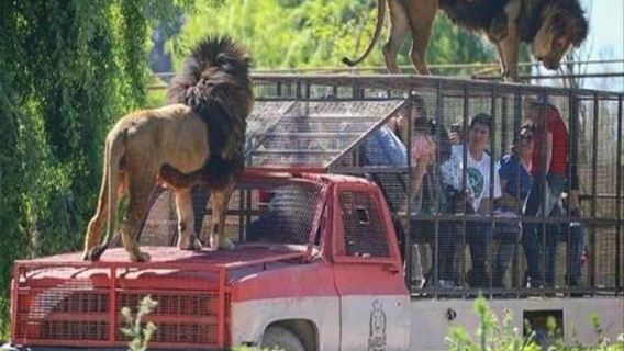 Rancagua Safari Park