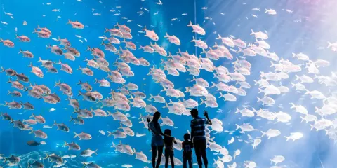 珠海長隆海洋王國+橫琴長隆飛船樂園(2園)一日遊