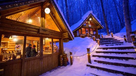 Lawatan sehari Jepun - Terras Makhluk Hutan Furano - Pokok Krismas Biei - Kolam Biru - Air Terjun Shirahige + sewaan peribadi
