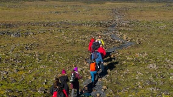 Reykjavik: Thrihnukagigur Volcano Guided Hiking Day Trip