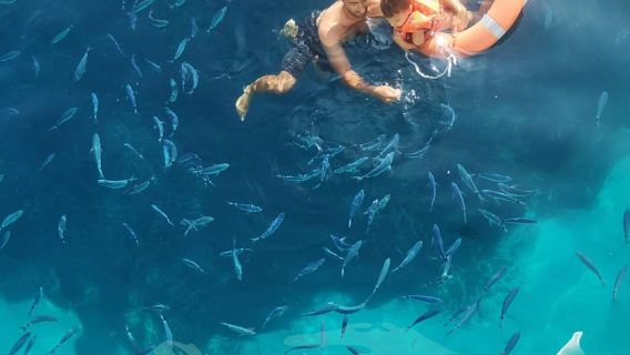 Propriano: Discovery Glass-Bottom Boat Tour (2h)