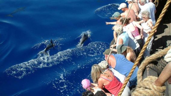 Madeira: Pirate Ship Cruise with Wine and Honey Cake Tasting