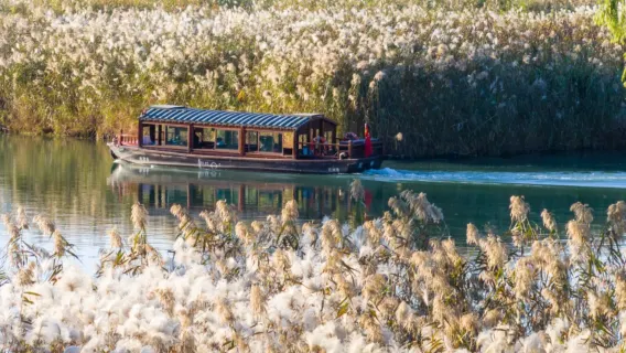 Tour di un giorno nel Parco della zona umida di Xixi|include il servizio di prelievo a domicilio + opzione tra esperienza in barca elettrica/barca a remi/veicolo turistico
