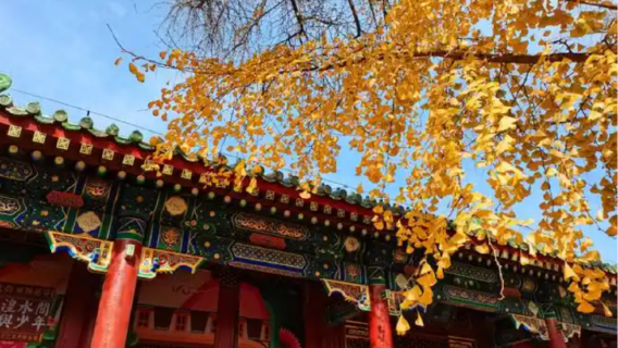 Pekín: excursión de medio día a la Mansión del Príncipe Gong [opción de mañana o tarde, una mansión principesca, media historia de la dinastía Qing, opción de tour privado]
