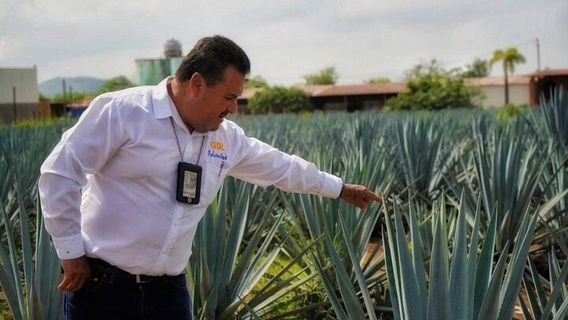 GuadalajaraTours