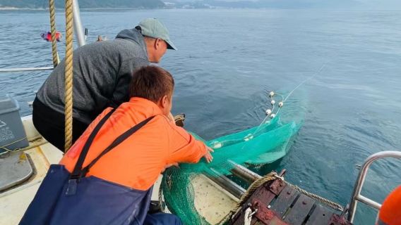 【旅行官推薦-深圳拖網捕魚】52尺拖網捕魚遊艇，漁獲全帶走，帶孩子體驗漁民的感覺，出海觀光抓魚兩不誤