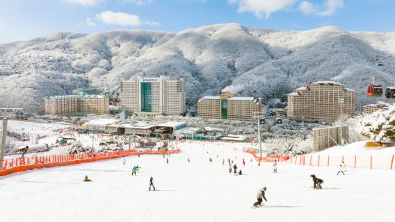 洪川大明 SONO VIVALDIPARK滑雪一天團