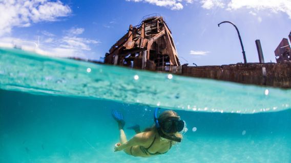 Ngày du ngoạn ngắm hoàng hôn ở Tangalooma kèm lặn biển ngắm xác tàu đắm