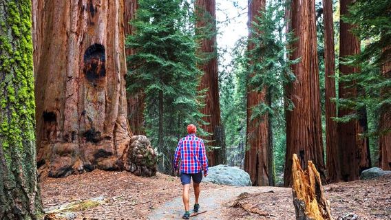 San FranciscoTours