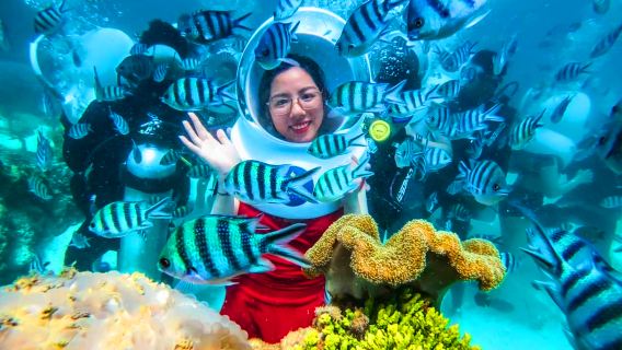 Cham Island one-day tour| Explore the Ocean in Hoi An | Depart from Da Nang