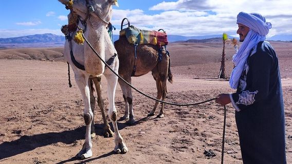 MarrakechTours
