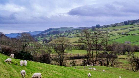 AmblesideTours