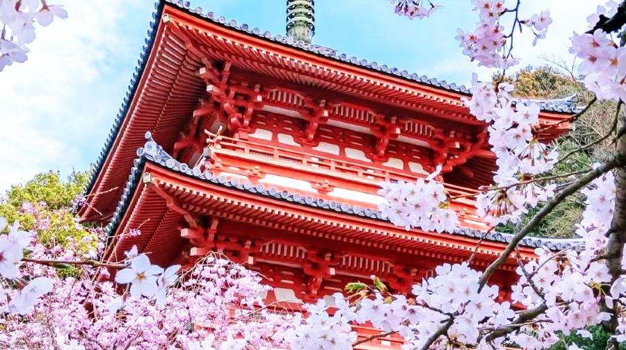 日本京都金閣寺+清水寺+伏見稻荷大社一日遊