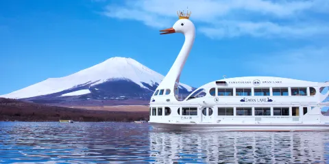 日本東京富士山河口湖+山中湖雙湖一日遊【9人精品團|櫻花季賞櫻|可選上門接送/白鳥遊船/騎行套餐|網紅羅森+天梯小鎮+忍野八海】