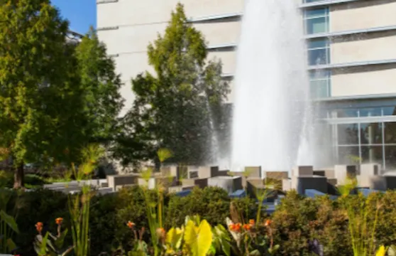 印第安納波利斯景點通票小童