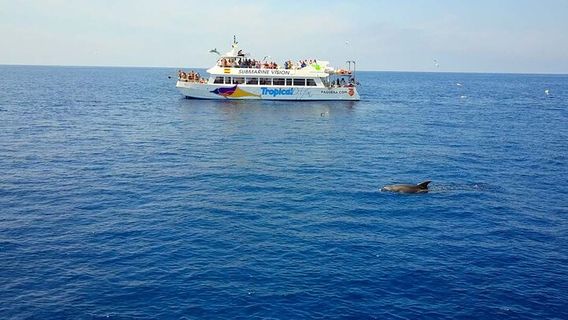 Palma de MallorcaTours