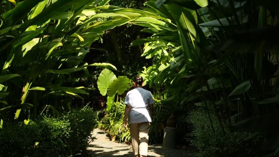 Pimalai Spa: 90 Minuten ruhige Auszeit